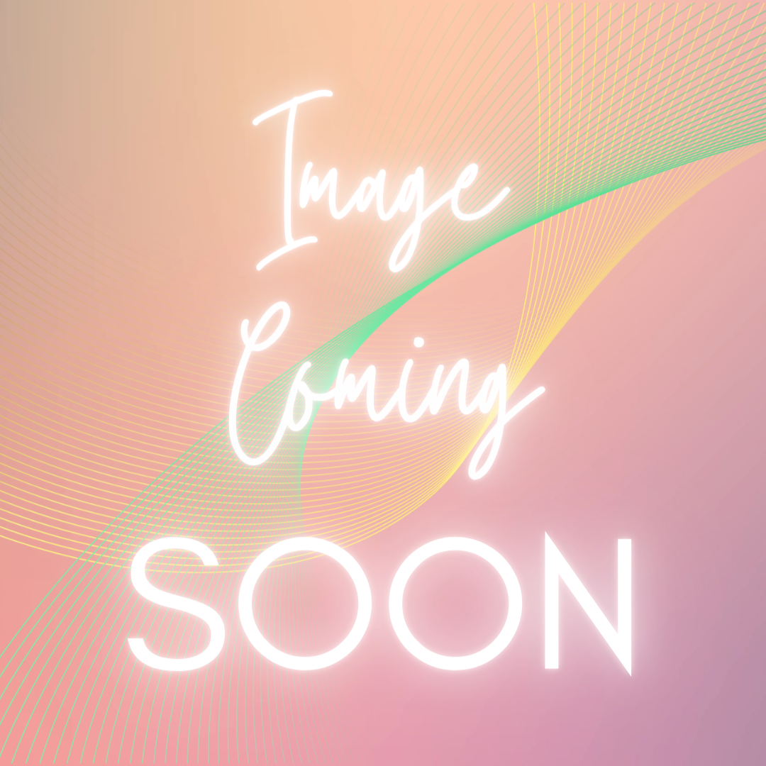 Bloch Demi Pointe Shoes