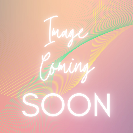 Bloch Demi Pointe Shoes